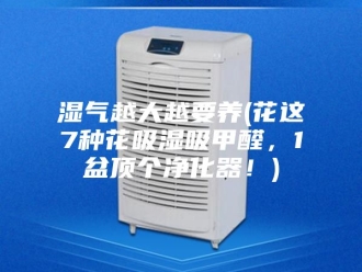 知识百科湿气越大越要养(花这7种花吸湿吸甲醛，1盆顶个净化器！)