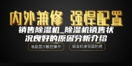 销售除湿机_除湿机销售状况良好的原因分析介绍