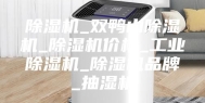 除湿机_双鸭山除湿机_除湿机价格_工业除湿机_除湿机品牌_抽湿机