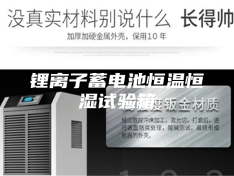 常见问题锂离子蓄电池恒温恒湿试验箱