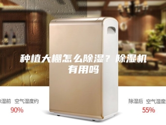 行业新闻种植大棚怎么除湿？除湿机有用吗