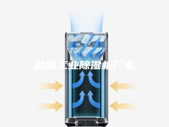 行业新闻益阳工业除湿机厂家
