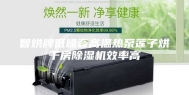 智烘牌低噪音高温热泵莲子烘干房除湿机效率高