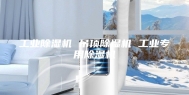 工业除湿机 吊顶除湿机 工业专用除湿机