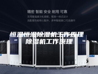 行业新闻恒温恒湿除湿机工作原理 除湿机工作原理