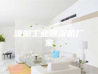 行业新闻濮阳工业除湿机厂家