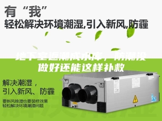 知识百科地下室返潮成水库，防潮没做好还能这样补救