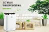 天然除湿器；8种植物可以帮助降低室内湿度！