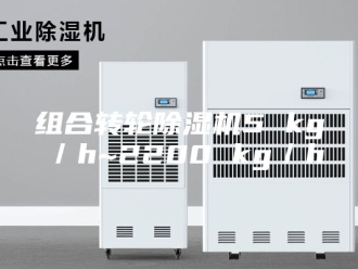 行业新闻组合转轮除湿机5 kg／h~2200 kg／h