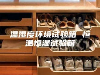 常见问题温湿度环境试验箱 恒温恒湿试验箱