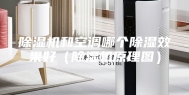 除湿机和空调哪个除湿效果好（除湿机原理图）