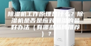 除湿机工作原理是什么？除湿机是否是应对潮湿的最好办法（有哪些品牌推荐）？