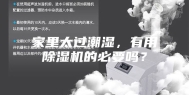 家里太过潮湿，有用除湿机的必要吗？