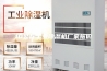10公斤工业除湿机厂家报价