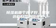 除湿机哪个牌子好，教你选购好用的除湿机