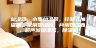 加湿器，小型加湿器，挂壁式加湿器，家用加湿器，商用加湿器，超声波加湿器，除湿机