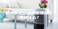 新风系统除湿的原理和作用是什么？