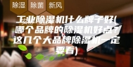 工业除湿机什么牌子好(哪个品牌的除湿机好点？这几个大品牌除湿机一定要看)