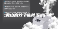 黄山高效节能除湿机厂家