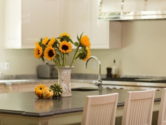 行业新闻低调的日系潮湿“吸尘器”