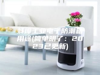 知识百科蚌埠工业电子防潮箱用途(简单明了：2023已更新)