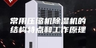常用压缩机除湿机的结构特点和工作原理