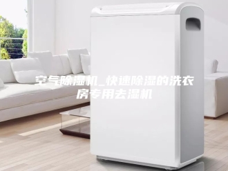 行业新闻空气除湿机_快速除湿的洗衣房专用去湿机