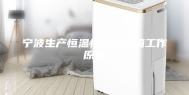 宁波生产恒温恒湿试验箱工作原理
