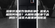 湿度对温室作物的影响？温室大棚如何除湿？大棚除湿机哪个品牌好？温室大棚里使用除湿