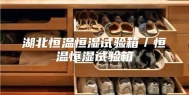 湖北恒温恒湿试验箱／恒温恒湿试验箱