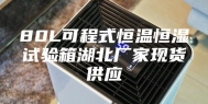 80L可程式恒温恒湿试验箱湖北厂家现货供应