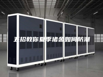 知识百科五招教你夏季猪舍如何防潮