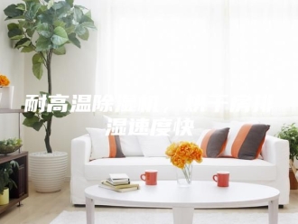 行业新闻耐高温除湿机，烘干房排湿速度快