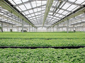 行业新闻除湿器如何解决高湿度、多种危害的温室除湿问题？