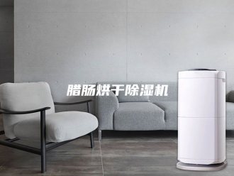 行业新闻腊肠烘干除湿机
