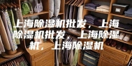 上海除湿机批发，上海除湿机批发，上海除湿机，上海除湿机