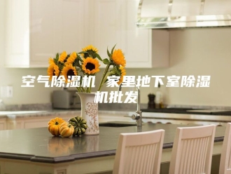 行业新闻空气除湿机 家里地下室除湿机批发