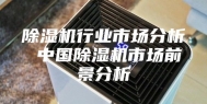 除湿机行业市场分析 中国除湿机市场前景分析