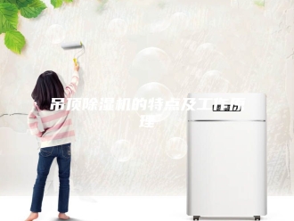 行业新闻吊顶除湿机的特点及工作原理