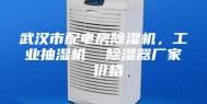 武汉市配电房除湿机，工业抽湿机  除湿器厂家 价格