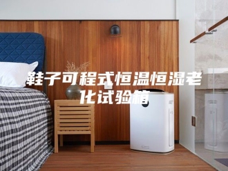 常见问题鞋子可程式恒温恒湿老化试验箱