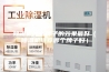 除湿机什么牌子的效果最好（除湿机推荐哪个牌子好）